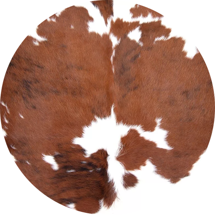 Custom Car Coasters - Neoprene Sublimated Coasters (Set of 2)